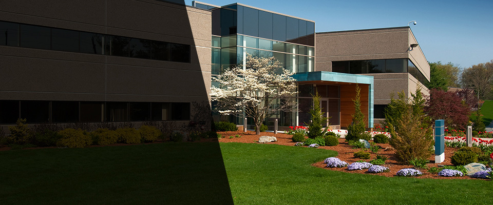 Wellesley Hills Landscapers