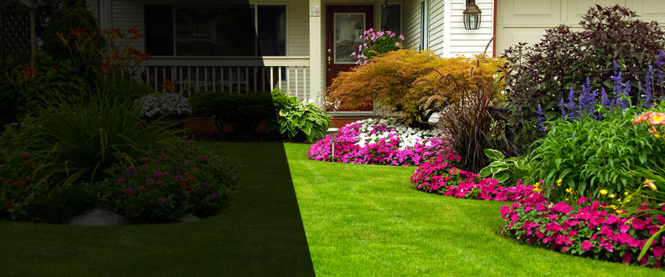 Wellesley Hills Landscapers