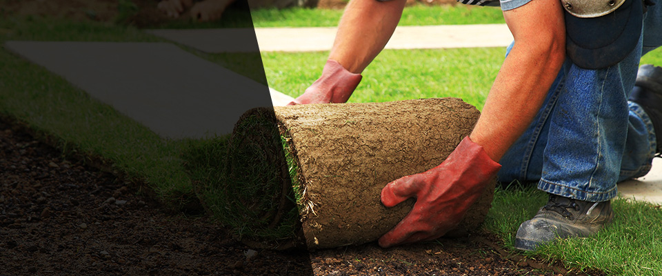 Wellesley Hills Landscapers